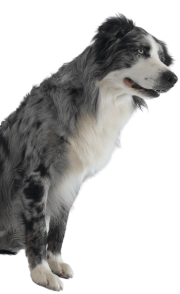 Design uden navn (41)