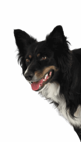 Design uden navn (43)