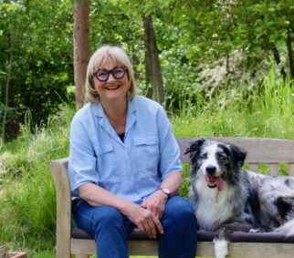 {{brizy_dc_image_alt imageSrc=