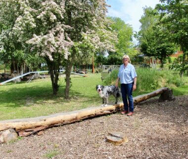 {{brizy_dc_image_alt imageSrc=